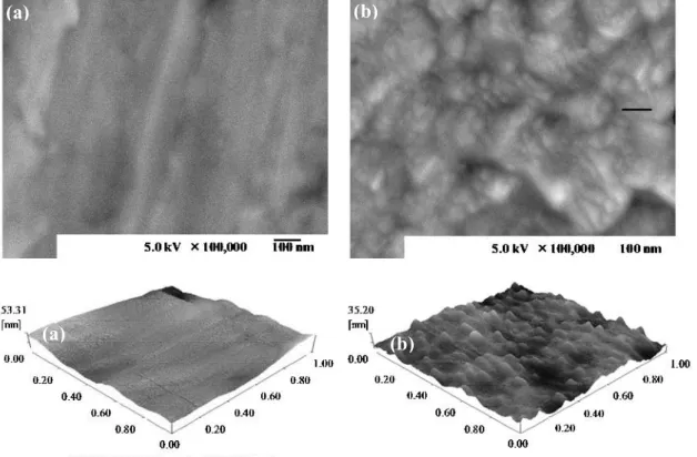 Fig. 2-8. SEM and AFM images:
