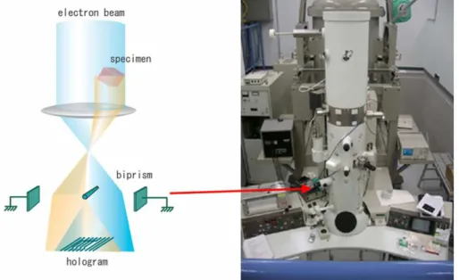 Fig. 1.2 Schematic of the electron holography and the image of a TEM equipped with  a biprism
