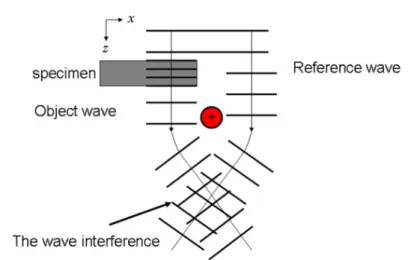 Fig. 1.3 Interference of the object wave and the reference wave. 