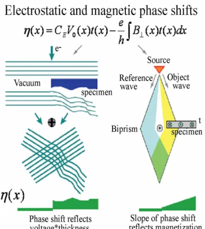 Fig. 1.5 Schematic illustrating of phase shift and phase gradients for electrostatic and  magnetic fields [35]