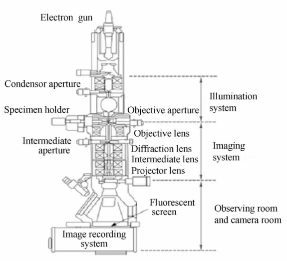 Fig. 1.1 Schematic of optical components in a basic TEM [8]. 
