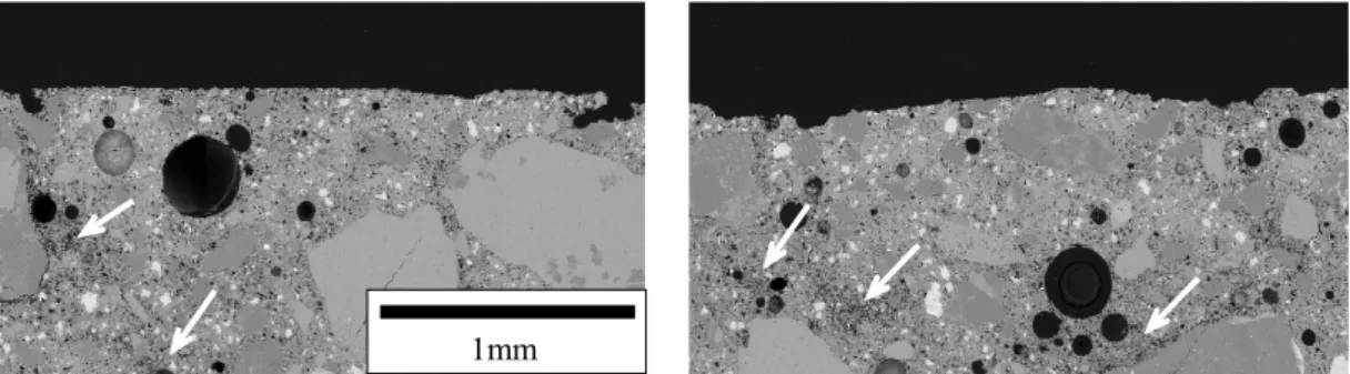 Fig. 7  BEIs of surface of concrete using normal Portland cement（N） 
