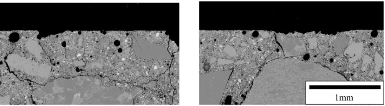 Fig. 8  BEIs of surface of concrete using blast furnace slag cement type B（BB） 