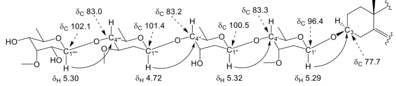 Figure 10. Important HMBC correlations of the sugar moiety of 7 