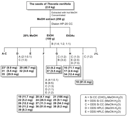 Figure 11. Extraction and isolation procedures of 16－39 