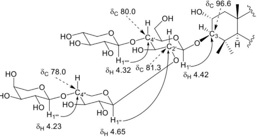 Figure 23. Important HMBC correlations of the sugar moiety of 62 