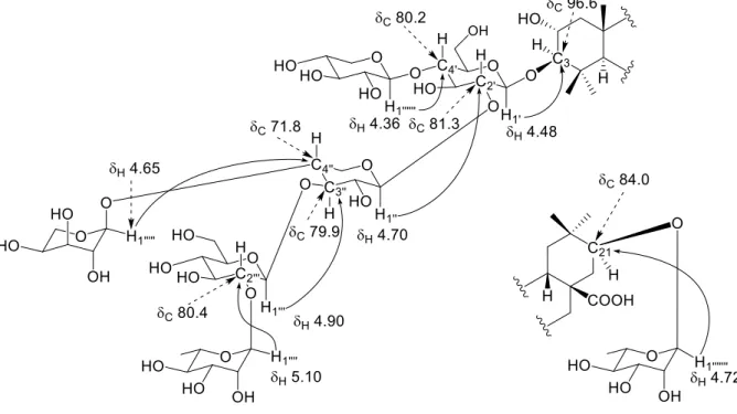 Figure 27. Important HMBC correlations of the sugar moieties of 64 
