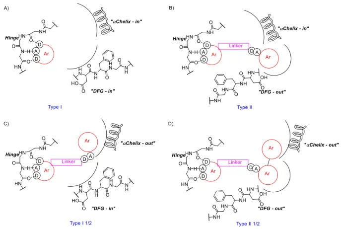 Figure 25. Illustration of binding modes of kinase inhibitors. Hydrogen bonds are represented  by dashed lines