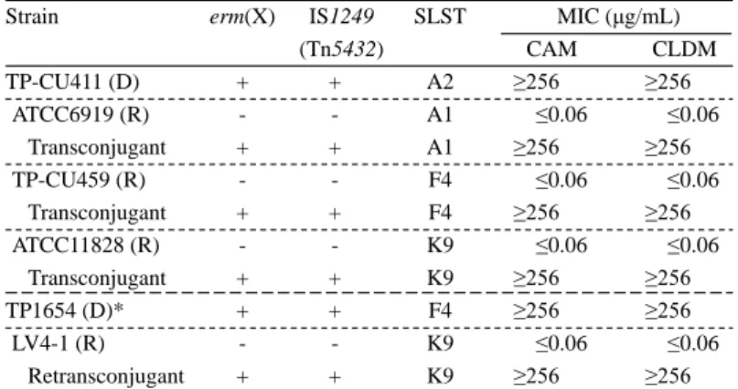Fig. 1. Distribution of macrolides-clindamycin resistance factors in C. acnes.