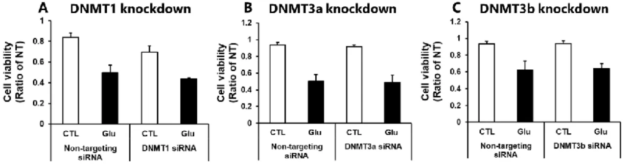 Fig. 6 Effect of DNMT1 (A), DNMT3a (B), and DNMT3b (C) siRNA on glutamate excitotoxity  in differentiated Neuro2a
