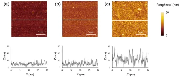 Figure 1.4  Relationship between the roughness of the silver film and the plating temperature