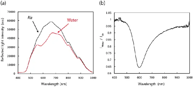 Figure  1.8  SPR  spectra  of  a  silver-coated  optical  fibre  prepared  using  the  developed  technique