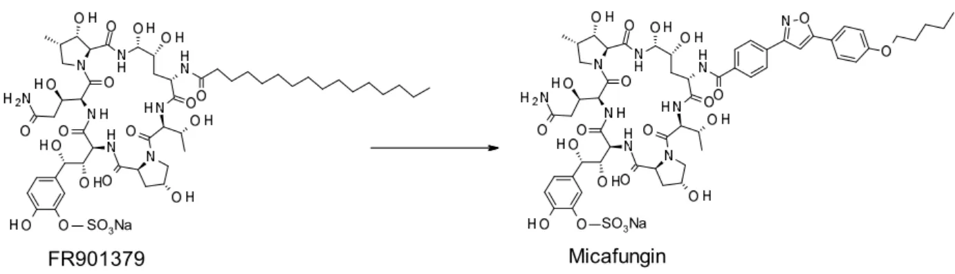 Figure 3. Examples of drug launched by structural transformation of natural product 