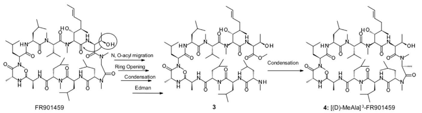 Figure 6. Synthesis of compound 4 ([ D  -MeAla] 3 -FR901459).  