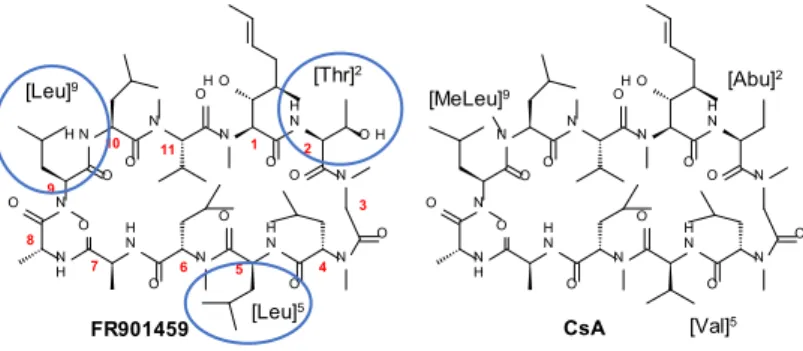 Figure 1. Structure of FR901459 and CsA. 