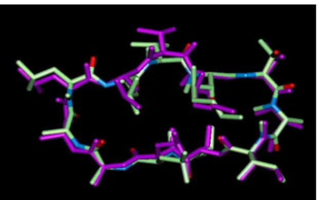 Figure 4. Superimposed crystal structure of 11 in  free and cyclophilin bound forms (Green : Crystal  structure of 11, Purple: Crystal structure of 11 in  cyclophilin complex.