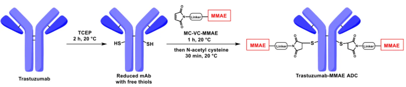 Fig. 2    Cysteine-based ADC synthesis 