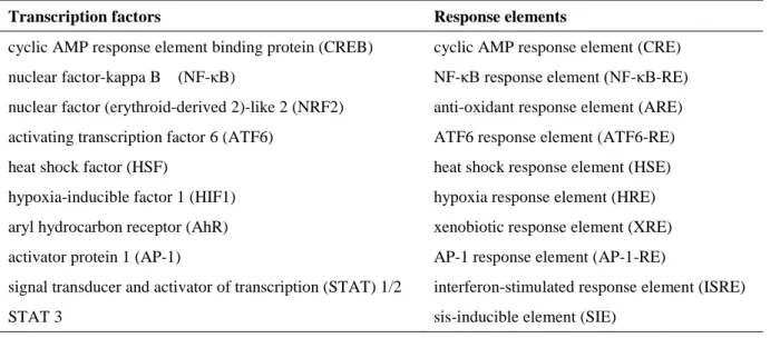 Table 1 Transcription factors selected from the results of gene expression analysis in NCI-H292 cells