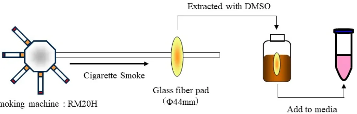 Fig. 1-1 Method for preparing of cigarette smoke extract (CSE). Cigarettes were smoked on a RM20H  smoking  machine  under  ISO  3308  conditions