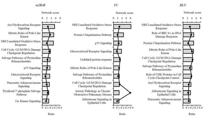 Fig. 1-2 Canonical pathways derived from ingenuity ®  pathway analysis (IPA) gene ontology algorithms  in NCI-H292 cells exposed to each cigarette smoke extract (CSE) of modified 2R4F (m2R4F), flue-cured  (FC) or burley (BLY) cigarette