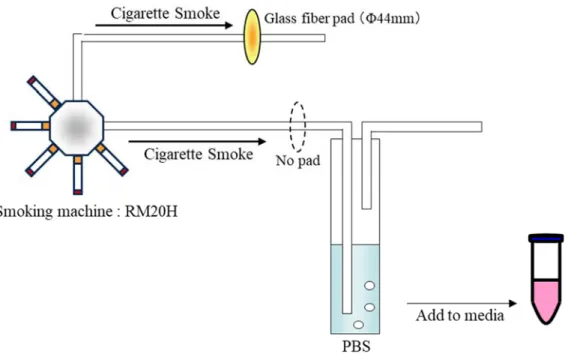 Fig. 2-1 Method for preparing of aqueous cigarette smoke extract (AqCSE). 3R4F cigarettes were smoked  on a RM20H smoking machine under ISO 3308 conditions