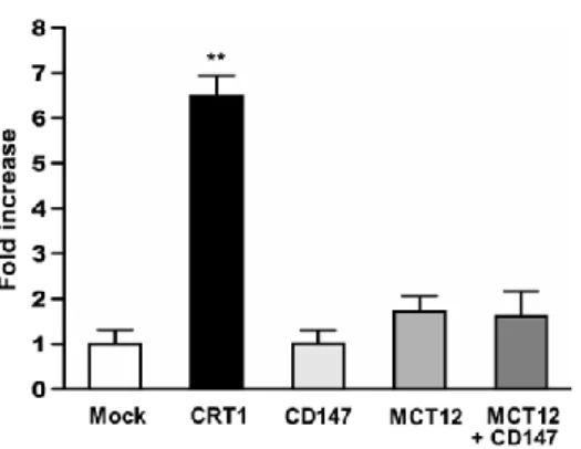 Fig. 1. The uptake of creatine in HEK293 cells  transiently  expressing  CRT1,  MCT12  with,  or  without CD147.