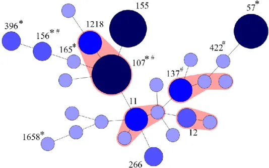 Fig. 3. Minimum spanning tree analysis of sequence type (ST) of all isolates (n = 57) 