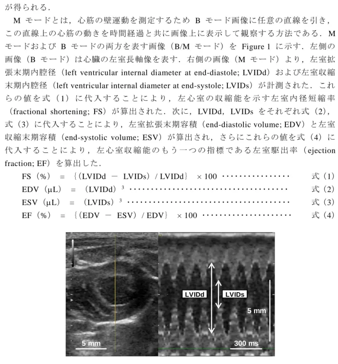 Figure 1  Representative B/M-mode echocardiograms of naïve rat. 