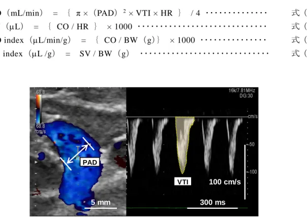 Figure 2  Representative B/D-mode echocardiograms of naïve rat. 