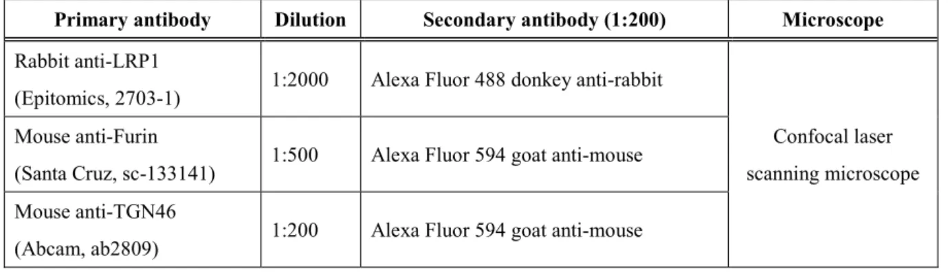 Table 7. Antibodies for immunofluorescence staining 