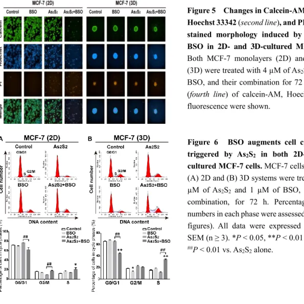 Figure 5    Changes in Calcein-AM (first line),  Hoechst 33342 (second line), and PI (third line)  stained  morphology  induced  by  As 2 S 2   and  BSO  in  2D-  and  3D-cultured  MCF-7  cells