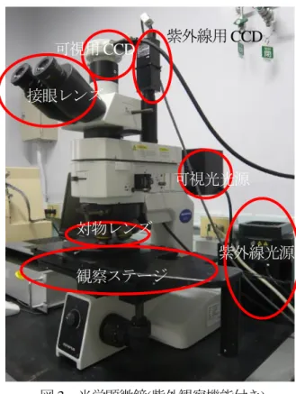 図 3 光学顕微鏡 ( 紫外観察機能付き ) 観察ステージ 対物レンズ  紫外線光源 可視光光源 接眼レンズ 可視用CCD 紫外線用CCD 4．研修の内容（顕微鏡の基礎知識）4.1光学顕微鏡の基本構造について4.1.1接眼レンズ観察側（眼側）にあるレンズで、両眼タイプの場合は観察者の両眼の眼の距離や、視力などで最適な調整行える機構を備えている。4.1.2対物レンズ試料に近接して使用するレンズで、レボルバと呼ばれるパーツに対物レンズを複数（低倍率から高倍率）装着し、観察の目的により任意の対物レンズを選択して使