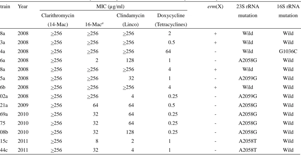 Table 7. Classification of P. acnes strains by resistance patterns of macrolides, clindamycin and tetracyclines in a clinic 
