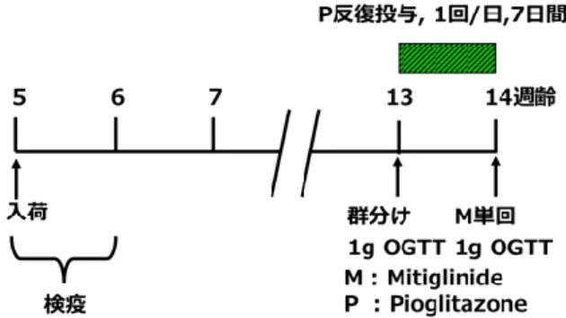Fig. 9 Outline of combined test of mitiglinide and pioglitazone. 