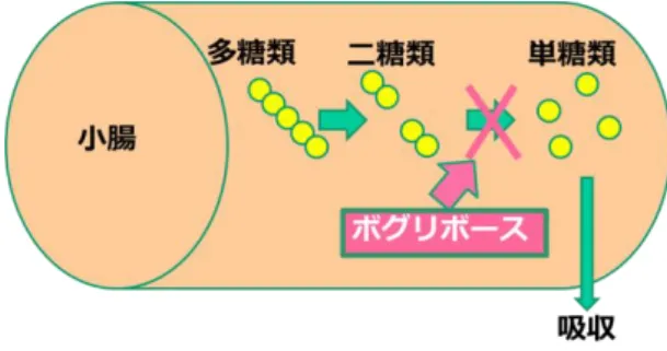 Fig. 12 The effects of voglibose. 