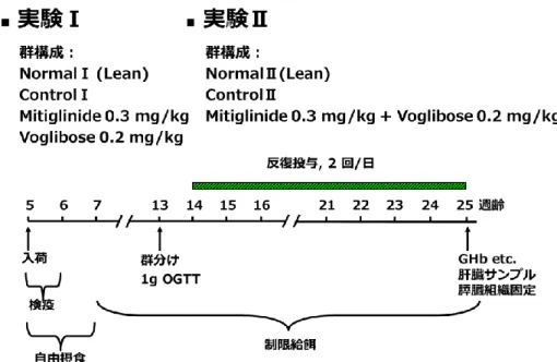 Fig. 13 Outline of combined test of mitiglinide and voglibose. 