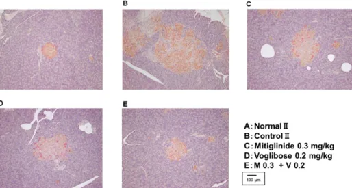 Fig. 16 Observation of pancreatic islets by insulin immunostaining. 