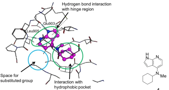 Figure 9. Predicted binding mode of compound 4 to human JAK3 (PDB code: 3LXK). 