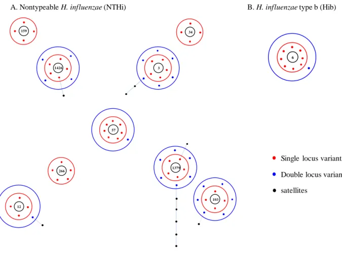 Fig. 1. Geneic diversity of Haemophilus influenzae by MLST analysis.