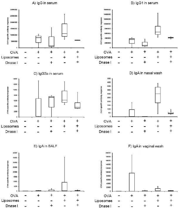 Figure  7.   Ind uctio n  of  OVA -specific  serum  IgG  and   nasal  tissue  IgA  responses  in  BALB /c m ice  imm unized intranasally  with  OVA  and cationic  lipo som e  with  DNase  I