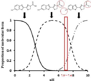 Fig. 2 Chemical structure of D-luc and its ionization profile in different pH 