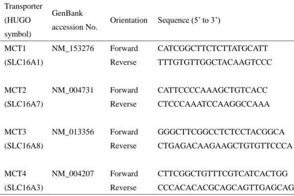 Table 3    Primers used for the RT-PCR of monocarboxylate transporters  Transporter 