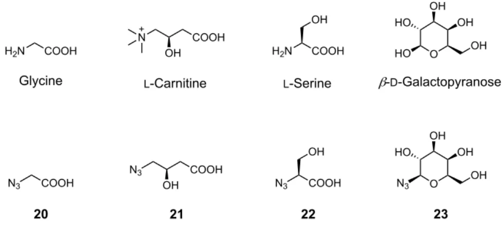 Figure 9. Azide derivatives for the water-solubilizing moiety. 