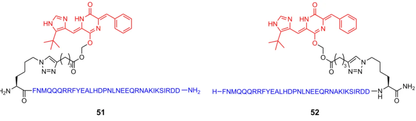 Figure  17.  Structures  of  Plinabulin  prodrugs  for  the  formation  of  noncovalent-type  antibody-drug conjugate (ADC)