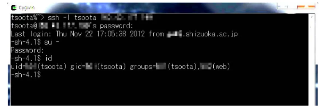 図 3  Cygwin によりリモートでクラウドサーバにログインをする 