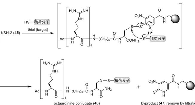 Figure  20.  オクタアルギニン導入試薬 KSH-2(45 )を用いたジスルフィド交換反応による