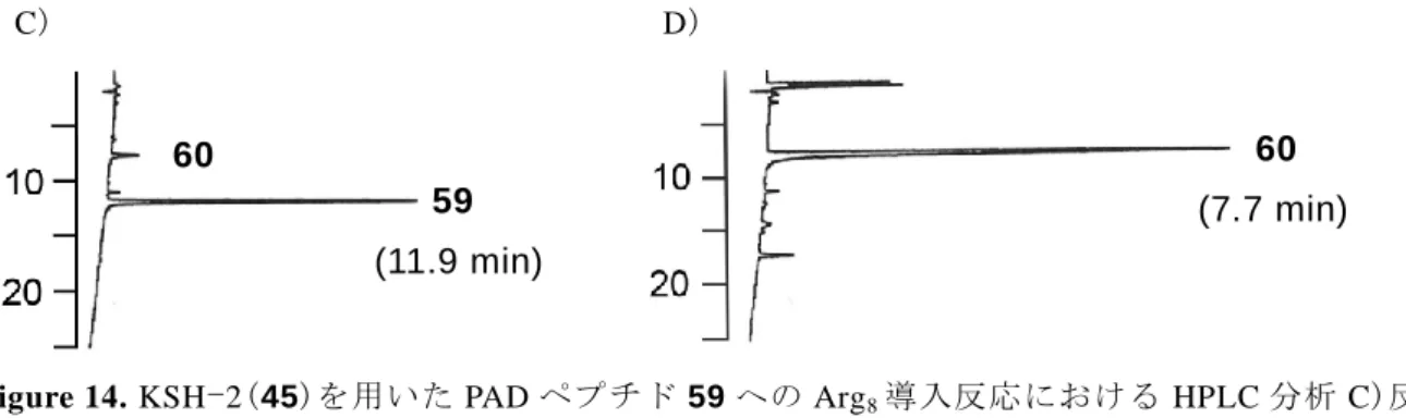 Figure 14.  KSH - 2(45)を用いた PAD ペプチド 59 への Arg 8 導入反応における HPLC 分析 C)反 応開始時のチャート D)1 時間後のチャート。