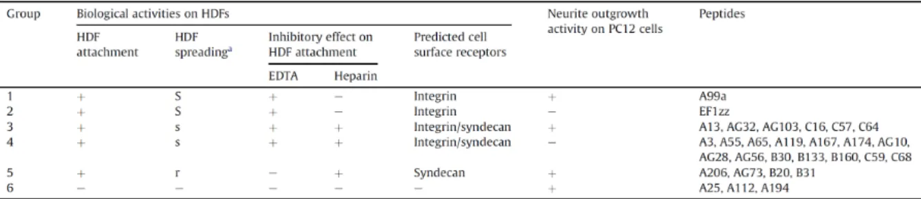 Table 1-2.    29 peptide-chitosan matrices could divide into six groups depend on their biological activities