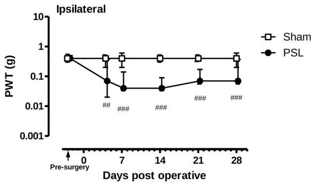 Figure 6    Changes in the PWT on the ipsilateral paws of mice with PSL.   