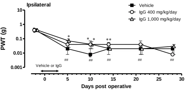 Figure 11    Effects of IgG on the development of neuropathic pain in mice with PSL. 